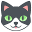 :cat: :cat: