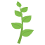 :herb: :herb: