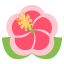 :hibiscus: :hibiscus: